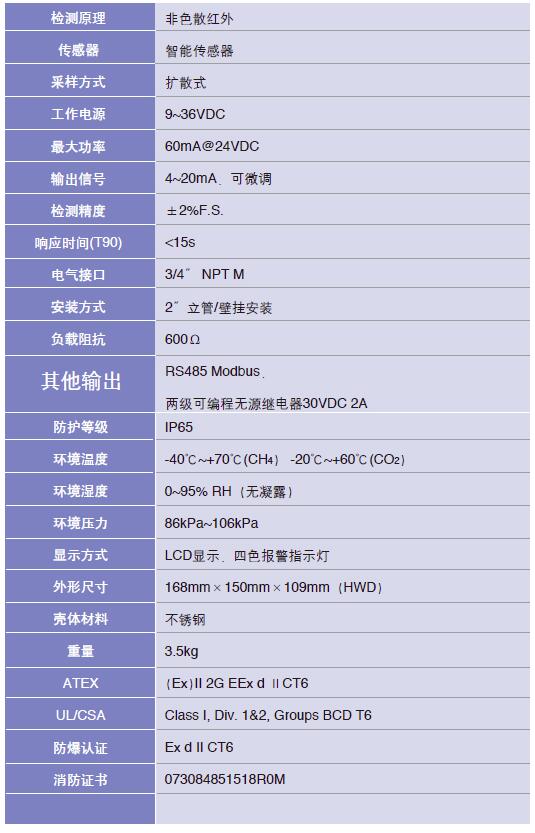 美國華瑞FGM-1200S紅外可燃氣體探測器（RAEGuards